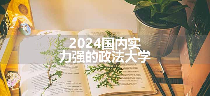 2024国内实力强的政法大学