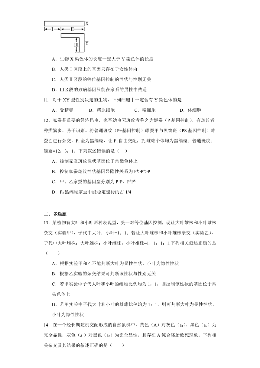 第4章 遗传信息传递的规律 单元测试2023-2024学年高中生物学北师大版（2019）必修2（解析版）