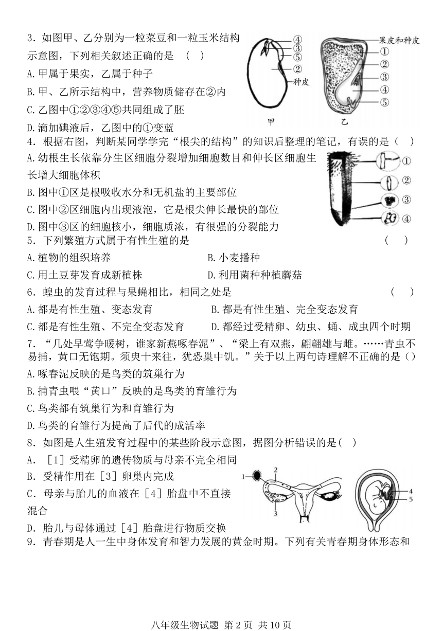 山东省济宁市兖州区2023-2024学年八年级上学期期末考试生物试题（word版含答案）