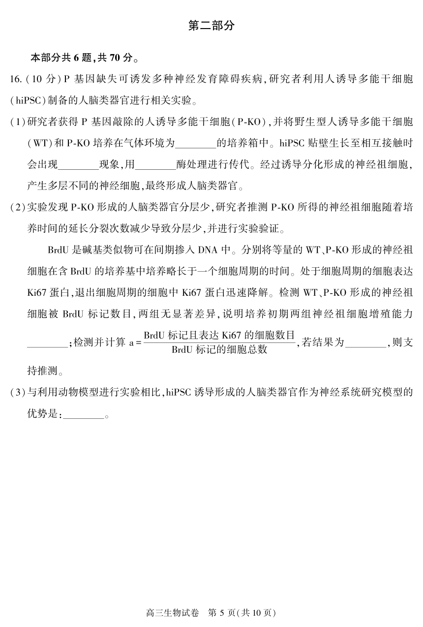 2023-2024学年北京朝阳区高三（上）期末生物试卷（PDF含答案）