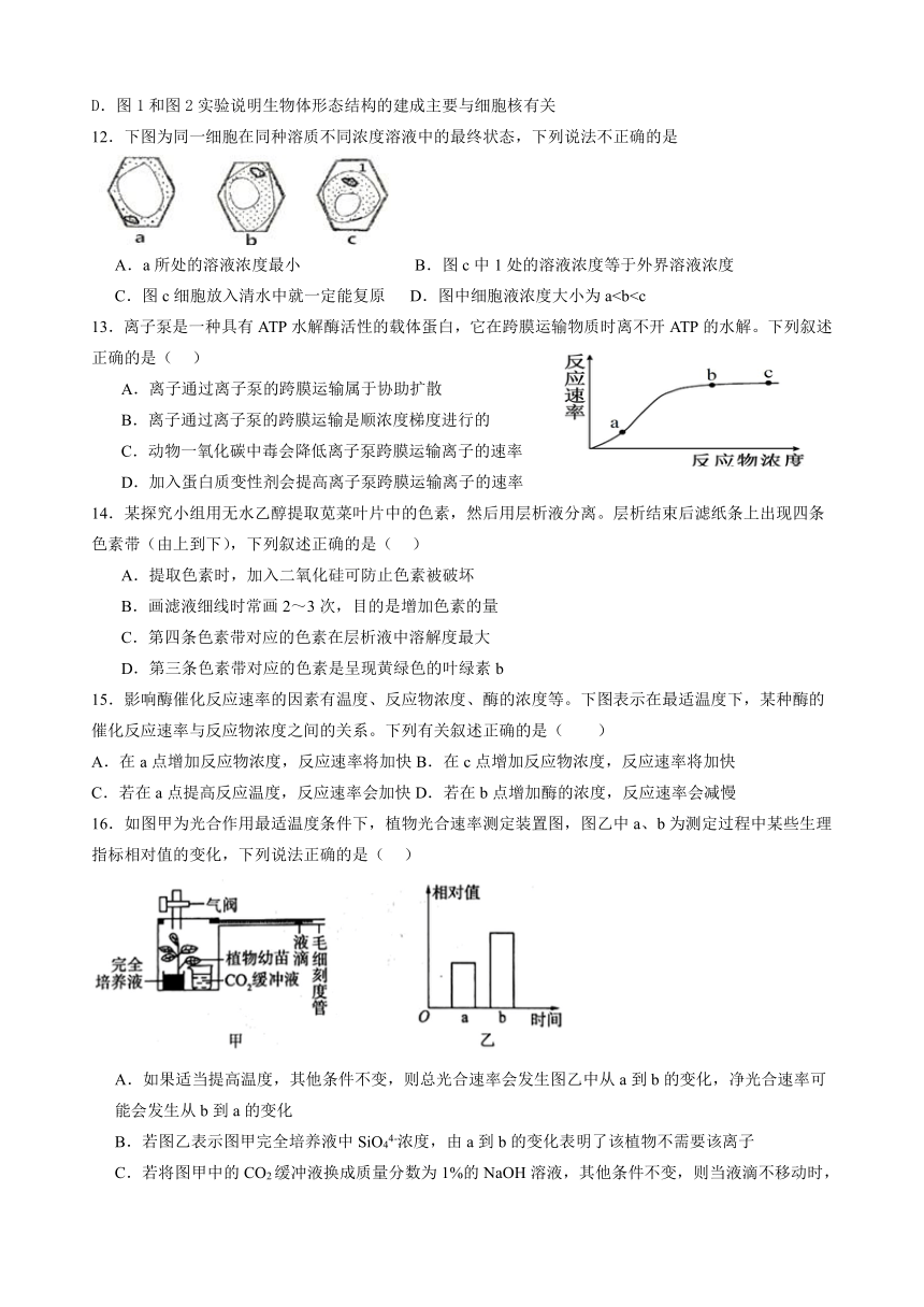 河北省衡水市安平县2023-2024学年高一下学期开学考试生物学试题（含答案）