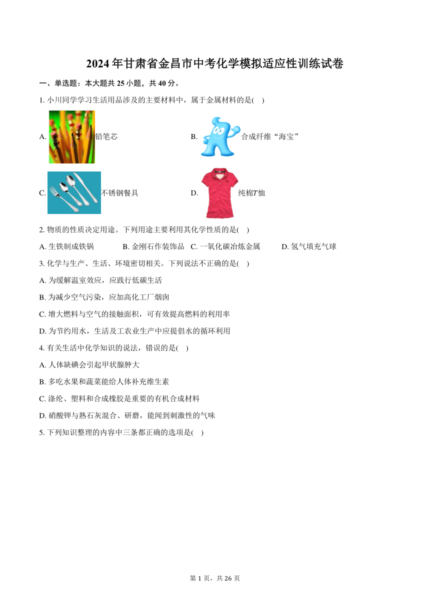 2024年甘肃省金昌市中考化学模拟适应性训练试卷(含解析）