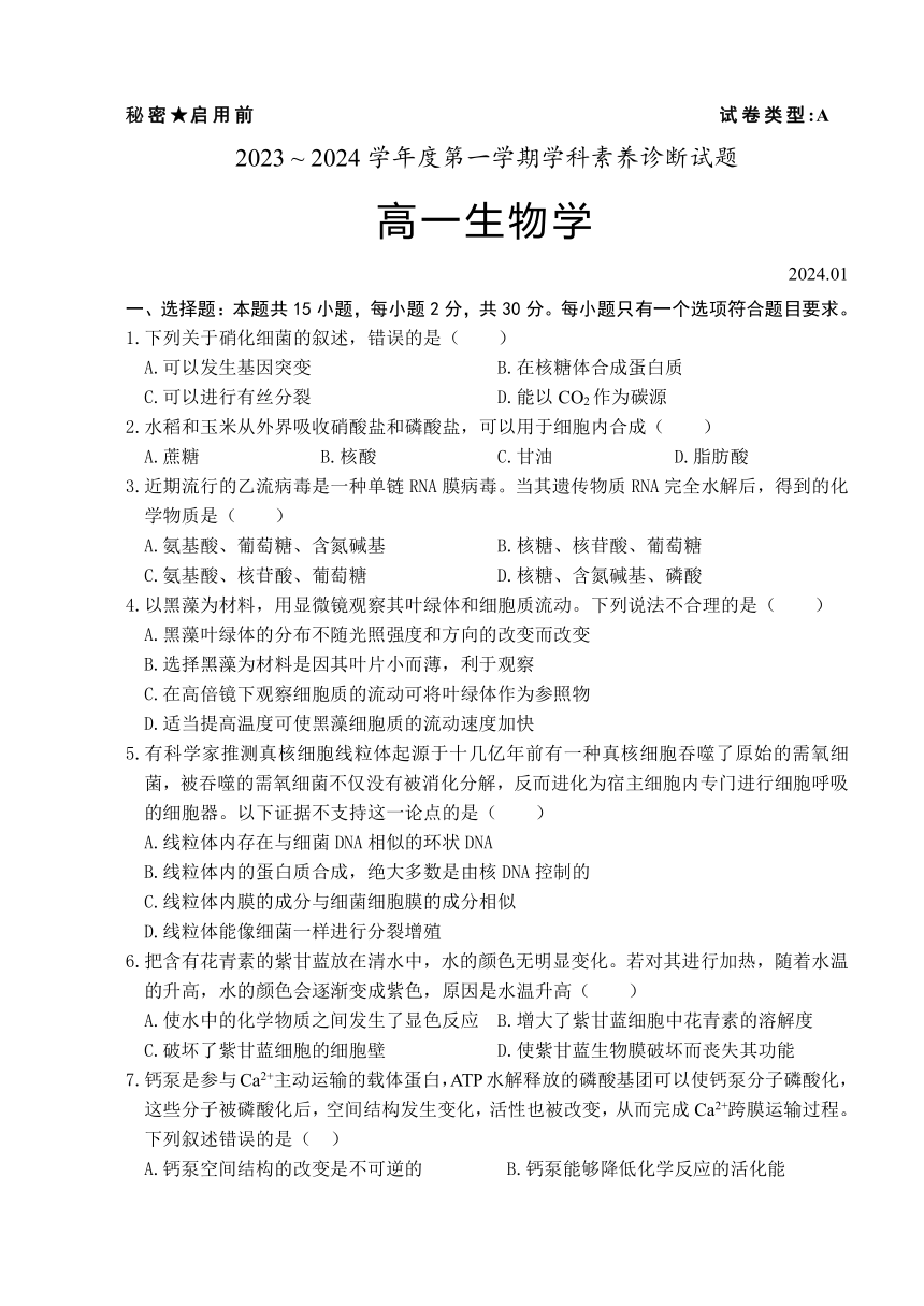 山东省枣庄市薛城区2023-2024学年高一上学期1月学科素养诊断（期末考试）生物学试题（含答案）