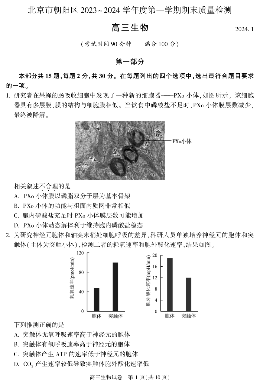 2023-2024学年北京朝阳区高三（上）期末生物试卷（PDF含答案）