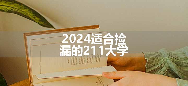 2024适合捡漏的211大学