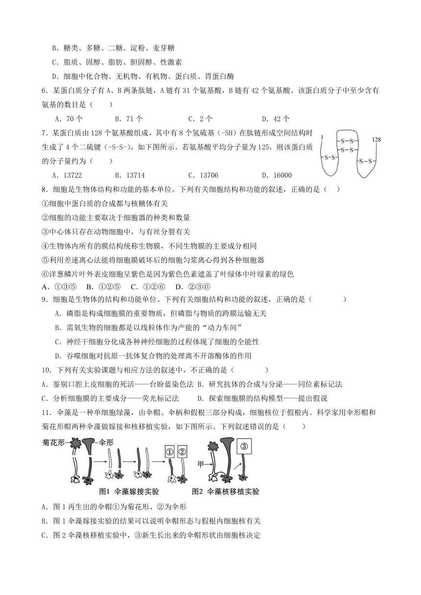 河北省衡水市安平县2023-2024学年高一下学期开学考试生物学试题（含答案）