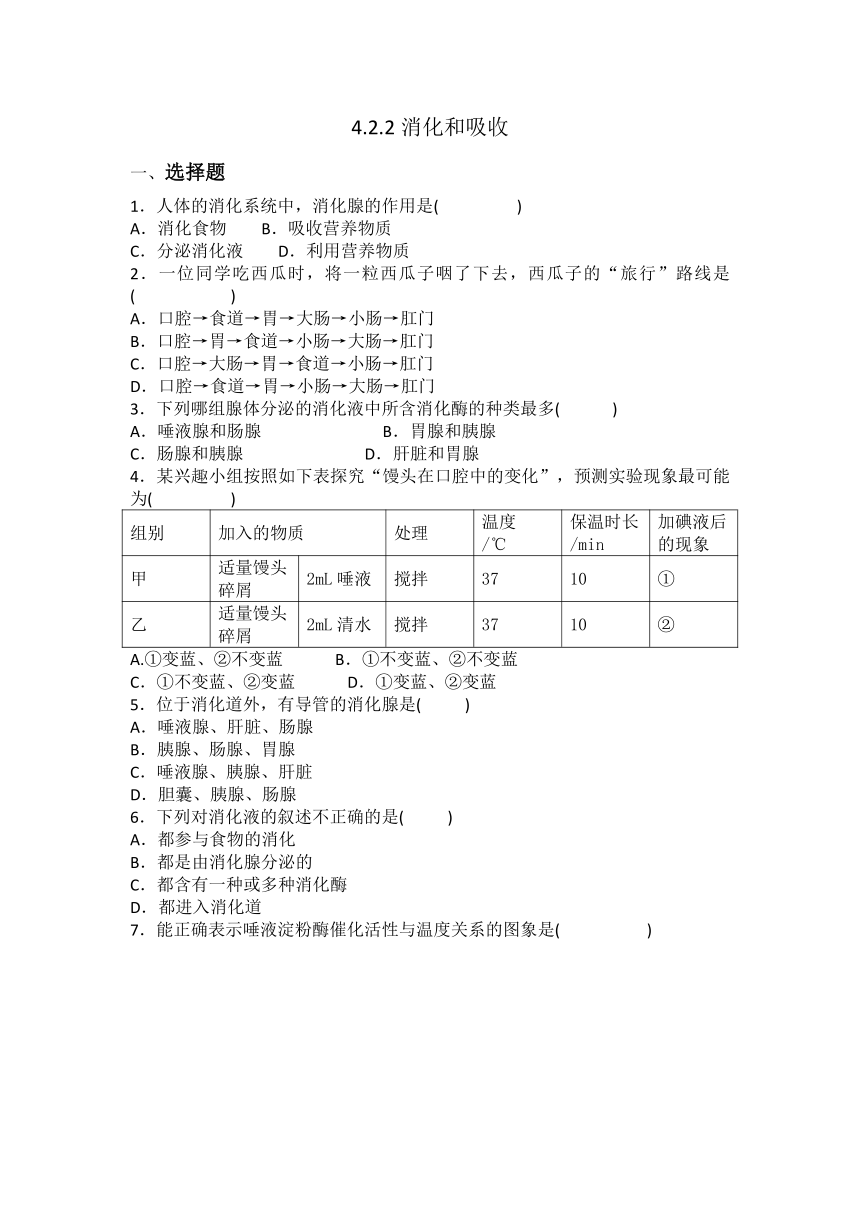 4.2.2消化和吸收同步训练题（含答案）人教版七年级下册生物学