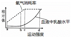 如图所示为人体运动强度与血液中乳酸含量和氧气消耗率的关系...