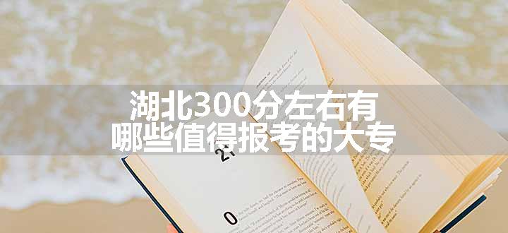 湖北300分左右有哪些值得报考的大专