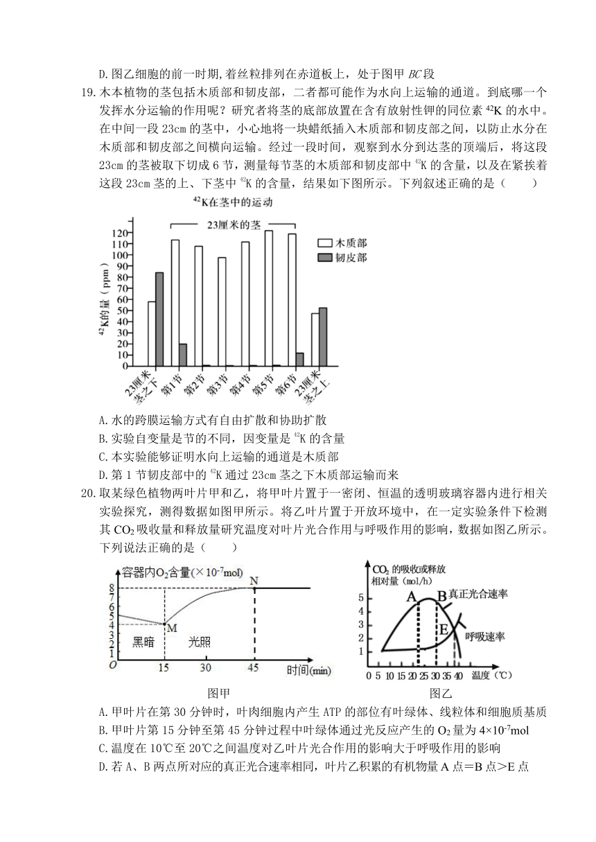 山东省枣庄市薛城区2023-2024学年高一上学期1月学科素养诊断（期末考试）生物学试题（含答案）