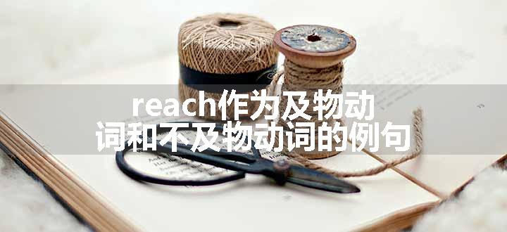 reach是及物动词还是不及物动词