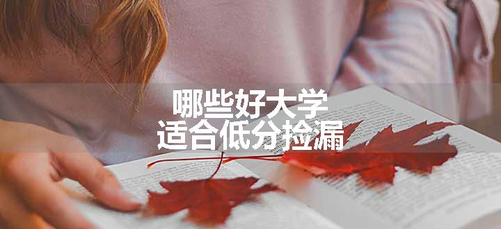 哪些好大学适合低分捡漏