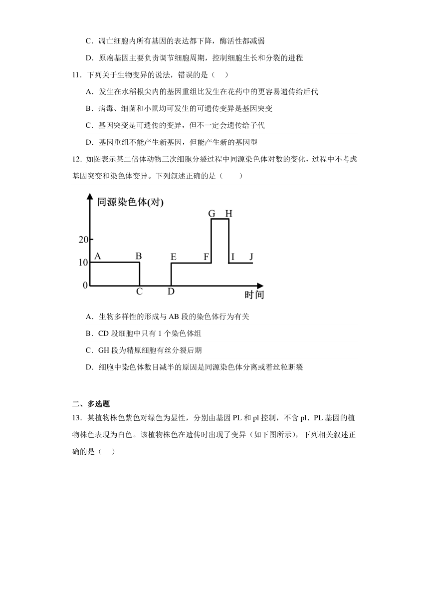 第5章 遗传信息的改变 单元测试2023-2024学年高中生物学北师大版（2019）必修2（解析版）