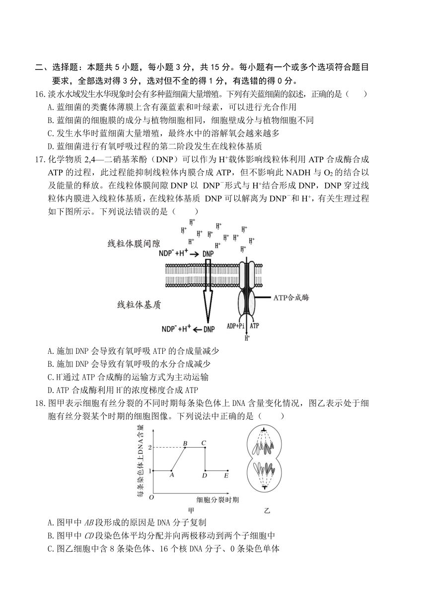 山东省枣庄市薛城区2023-2024学年高一上学期1月学科素养诊断（期末考试）生物学试题（含答案）