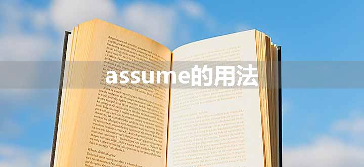 assume的用法