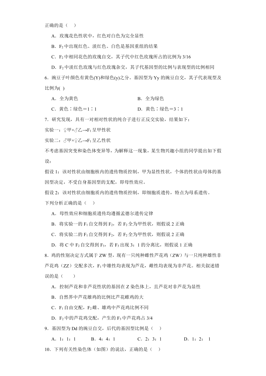 第4章 遗传信息传递的规律 单元测试2023-2024学年高中生物学北师大版（2019）必修2（解析版）