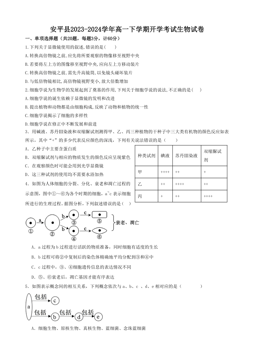 河北省衡水市安平县2023-2024学年高一下学期开学考试生物学试题（含答案）