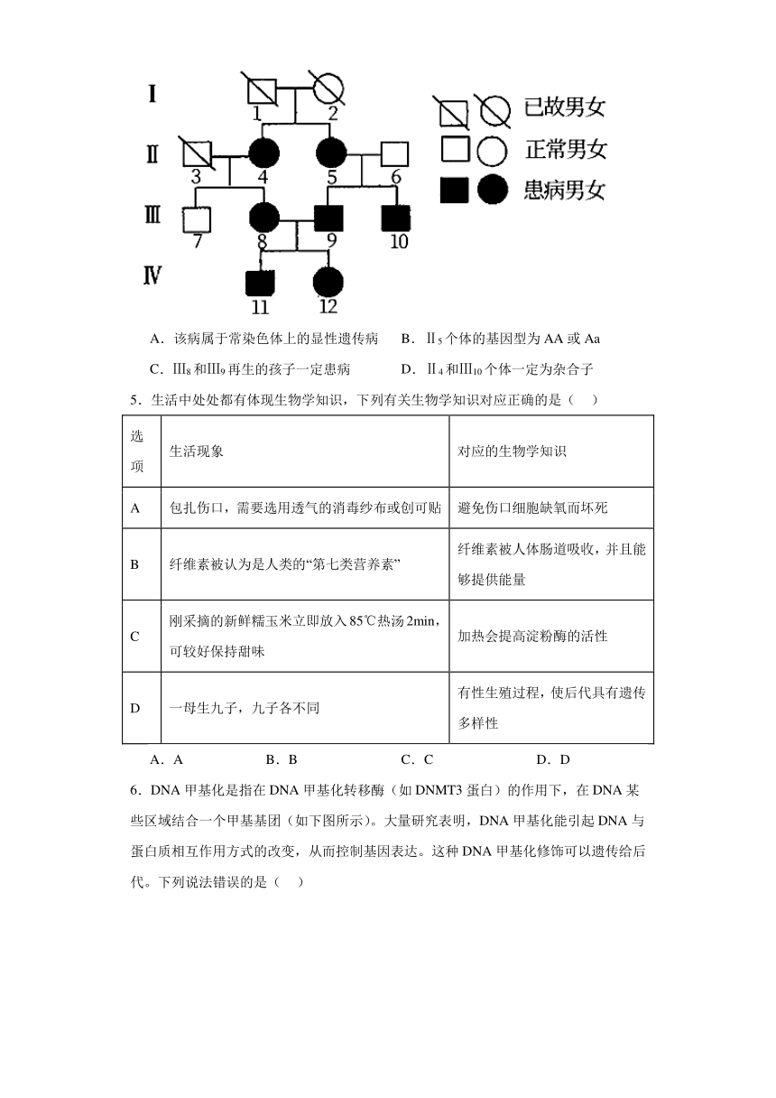 第5章 遗传信息的改变 单元测试2023-2024学年高中生物学北师大版（2019）必修2（解析版）