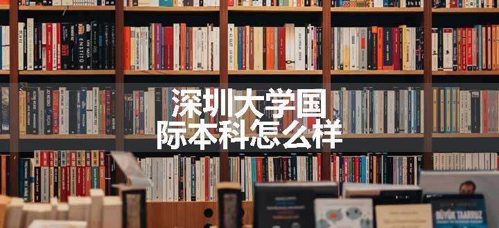 深圳大学国际本科怎么样