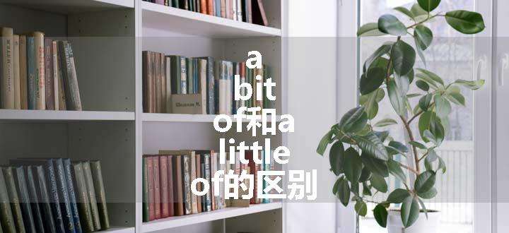 a bit of和a little of的区别