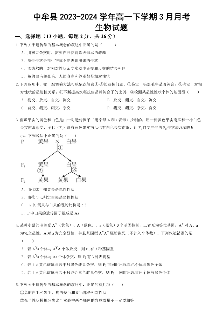 河南省郑州市中牟县2023-2024学年高一下学期3月月考生物学试题（含解析）