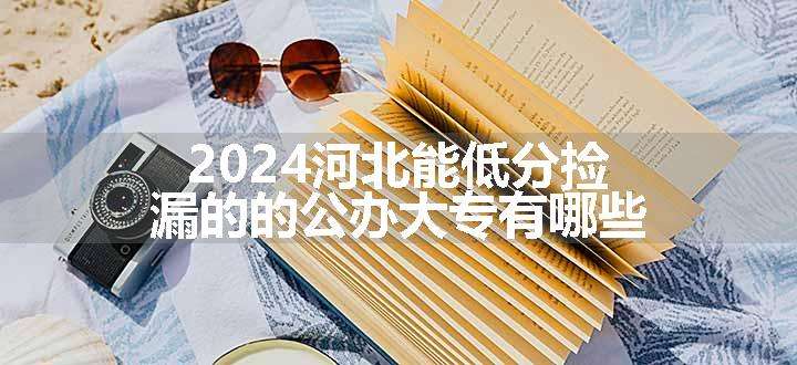 2024河北能低分捡漏的的公办大专有哪些