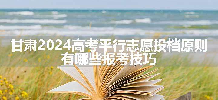 甘肃2024高考平行志愿投档原则 有哪些报考技巧