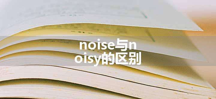 noise与noisy的区别