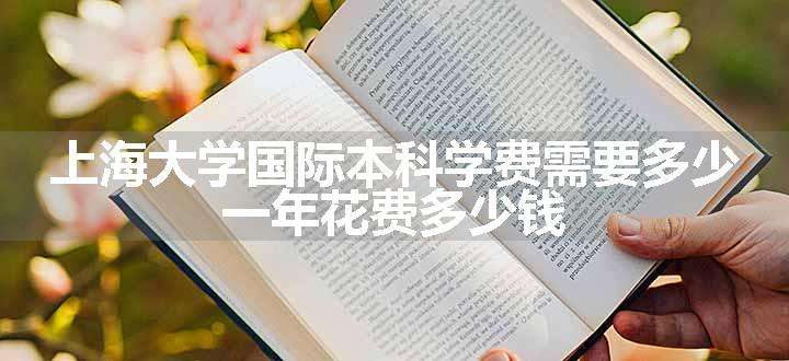 上海大学国际本科学费需要多少 一年花费多少钱