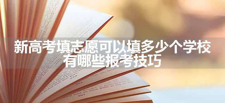 新高考填志愿可以填多少个学校 有哪些报考技巧