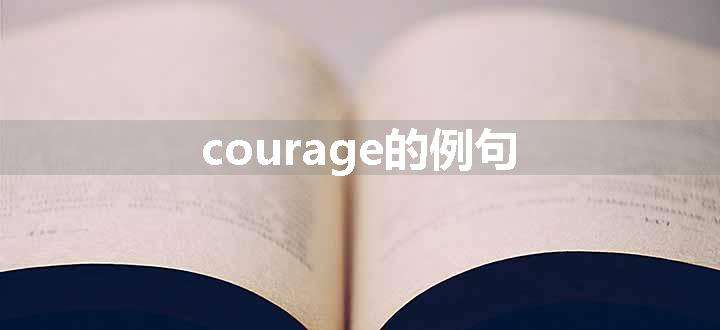 courage的例句