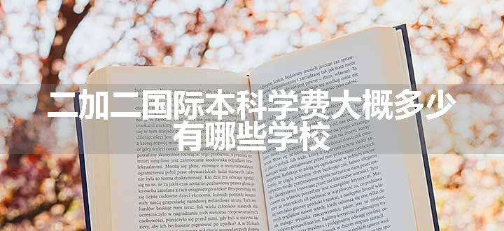 二加二国际本科学费大概多少 有哪些学校