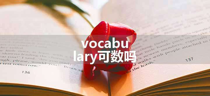 vocabulary可数吗