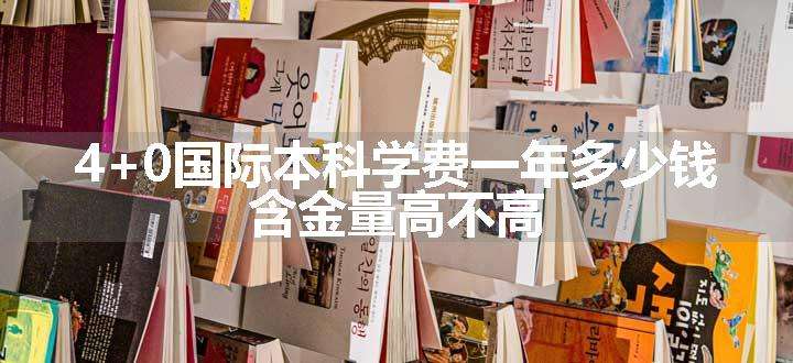 4+0国际本科学费一年多少钱 含金量高不高