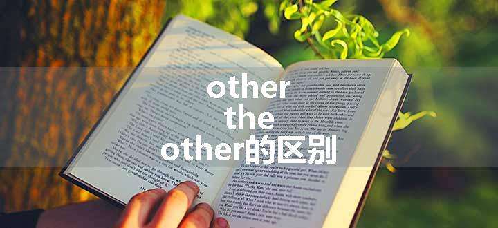 other the other的区别