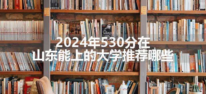 2024年530分在山东能上的大学推荐哪些