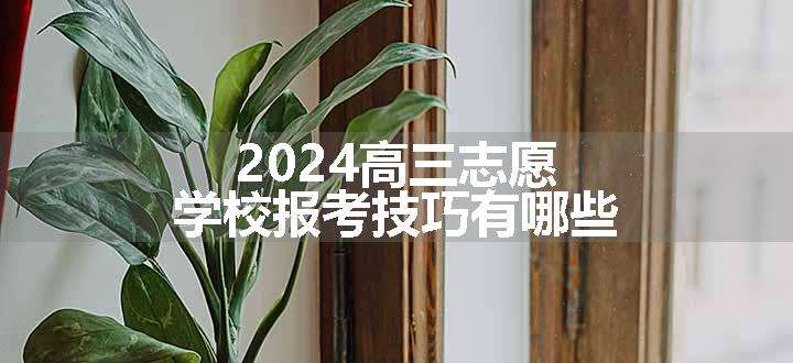 2024高三志愿学校报考技巧有哪些