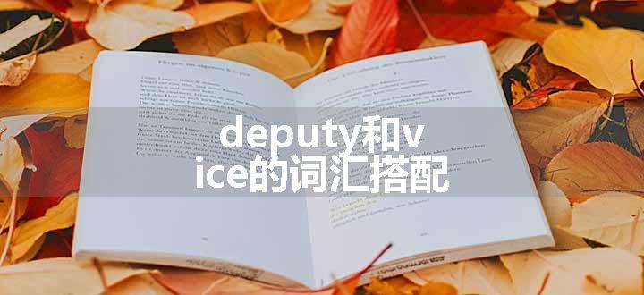 deputy和vice的词汇搭配