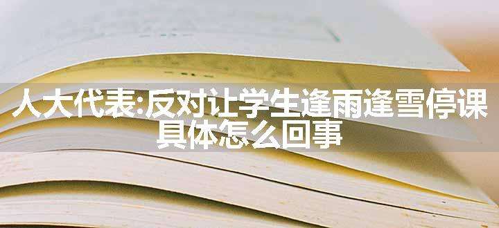 人大代表:反对让学生逢雨逢雪停课 具体怎么回事