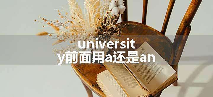 university前面用a还是an