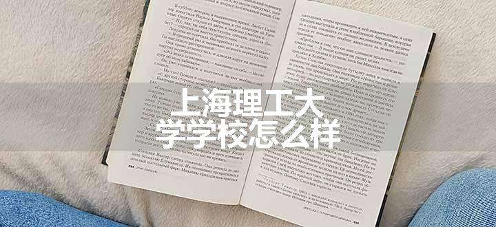 上海理工大学学校怎么样