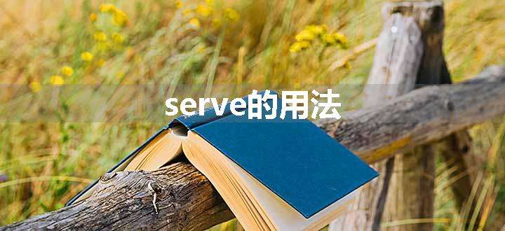 serve的用法