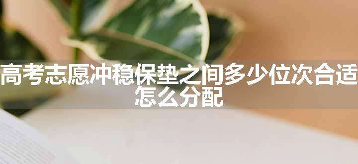 高考志愿冲稳保垫之间多少位次合适 如何分配