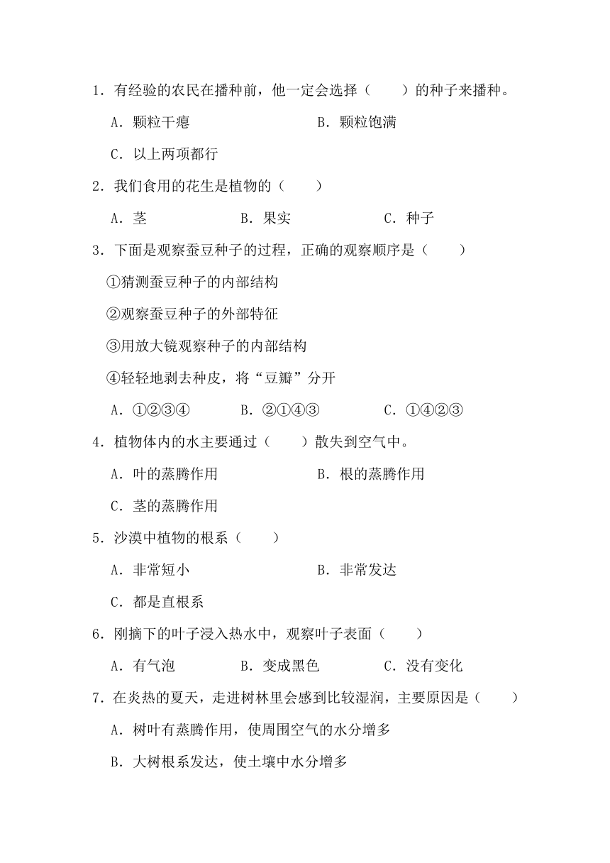 2023-2024学年三年级科学下学期期中专项复习（苏教版）第一单元植物的一生（含解析答案）