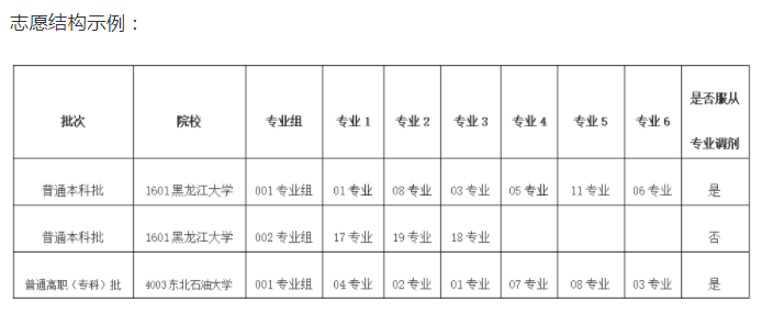 志愿结构示例