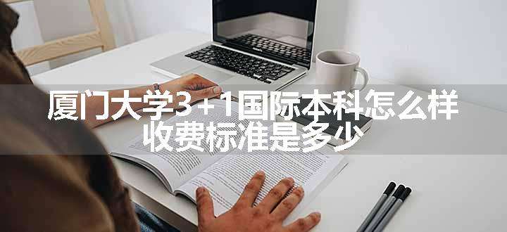 厦门大学3+1国际本科怎么样 收费标准是多少