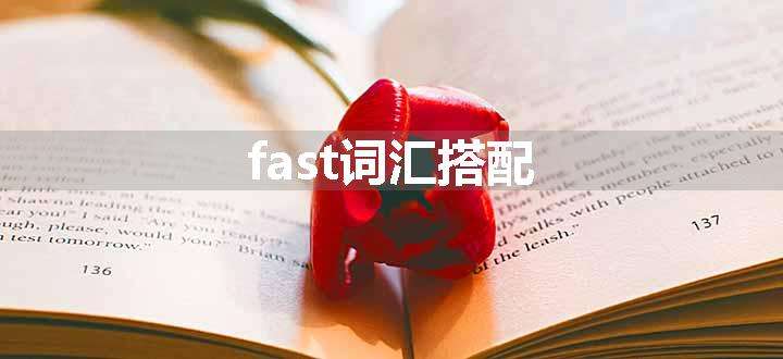 fast词汇搭配