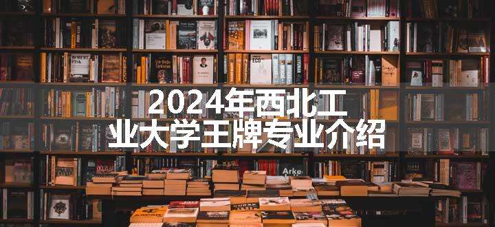 2024年西北工业大学王牌专业介绍