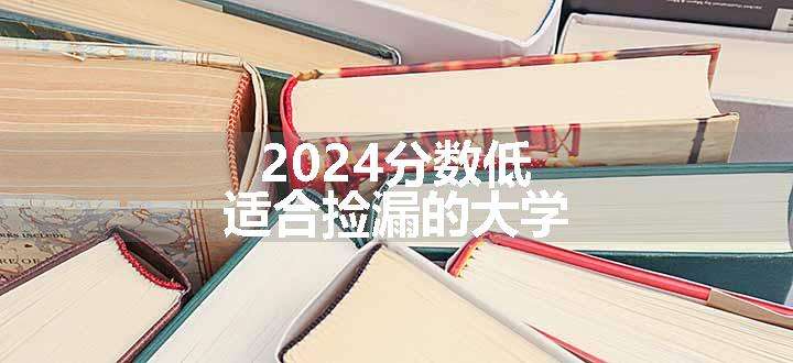 2024分数低适合捡漏的大学