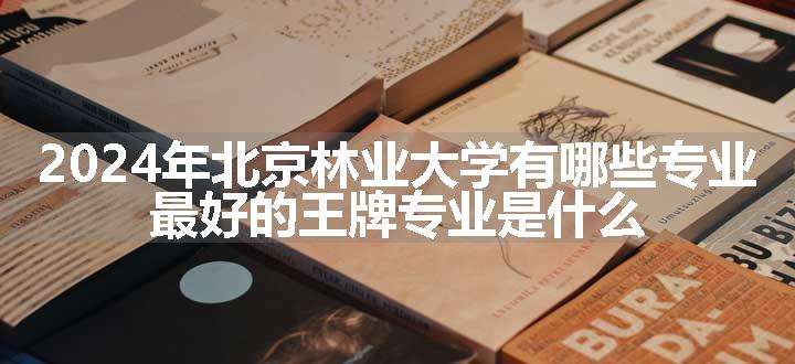 2024年北京林业大学有哪些专业 最好的王牌专业是什么